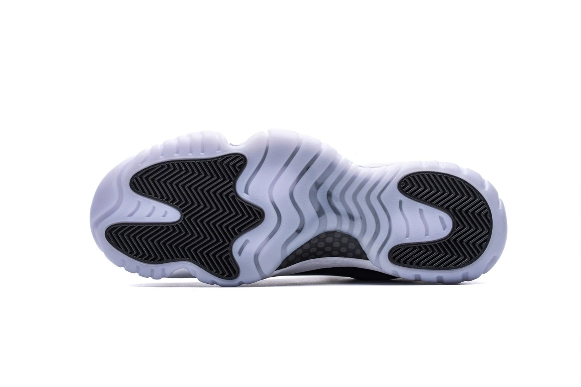 528895-010 Barons Low  Jordan Retro 11 0306